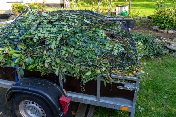 Best Estate Cleanout  in Blaine, WA